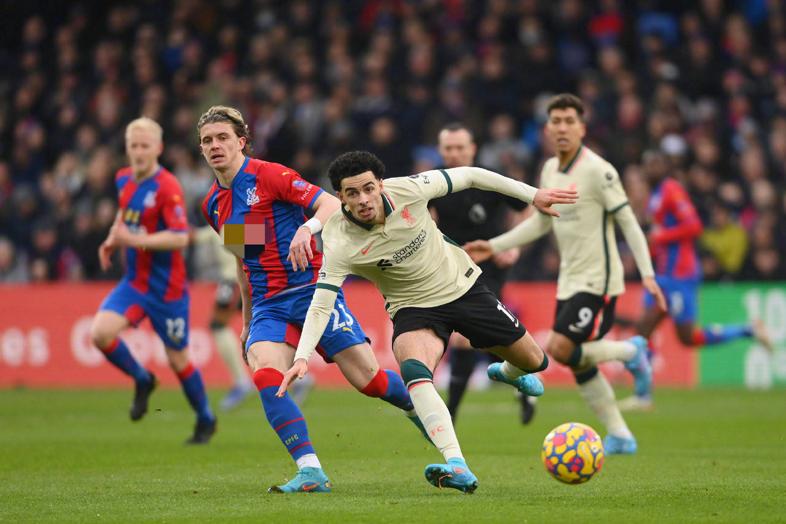 懈的努力 懈的努力